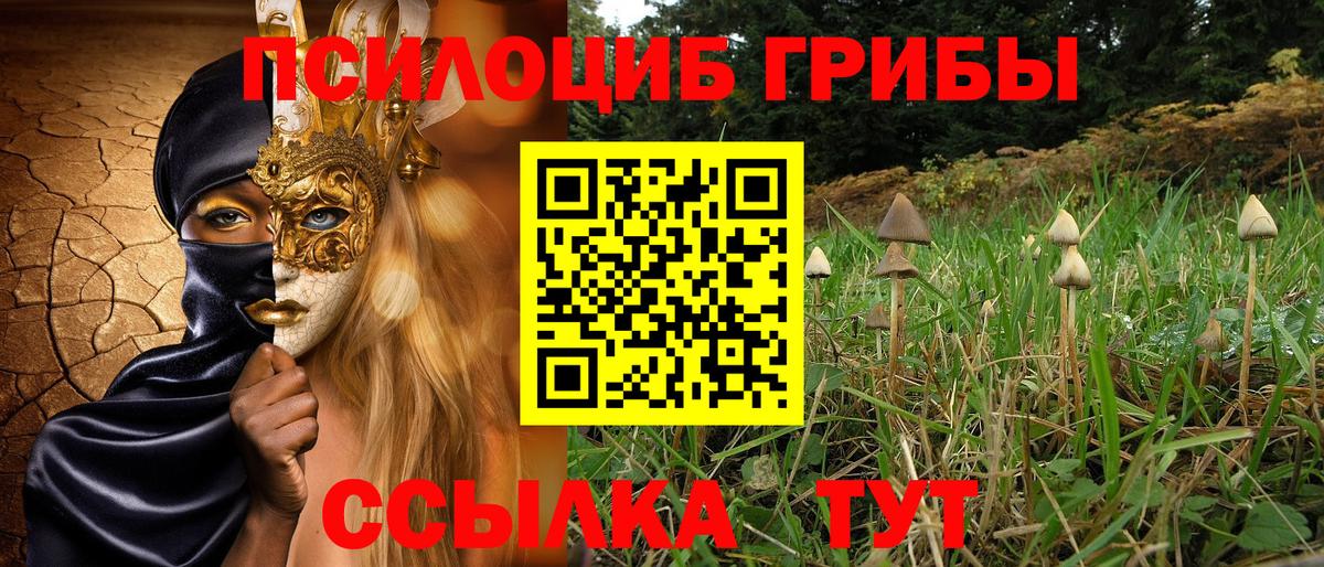 Псилоцибиновые грибы Psilocybe  Псилоцибиновые грибы Magic Shrooms  сколько стоит  Вход с VPN  Саранск 